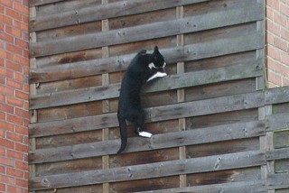 climb 2